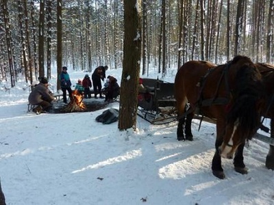 Kuligi na Kaszubach z ogniskiem, kie�baskami i pochodniami