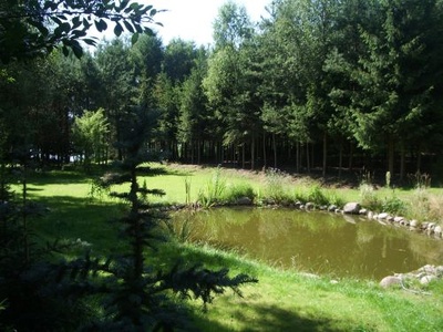 Villa Rosa -  ogr&oacute;d