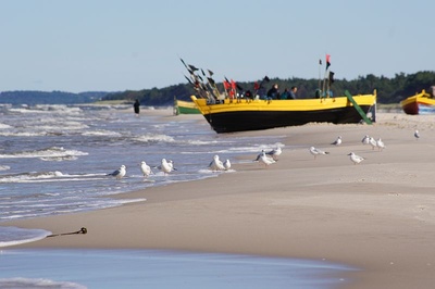 Pla�a D�bki okolice Krokowej