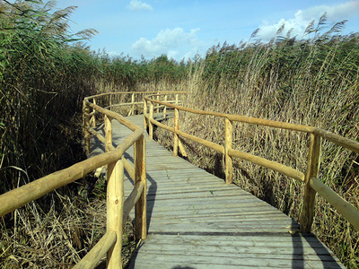�cie�ka w �eba Park