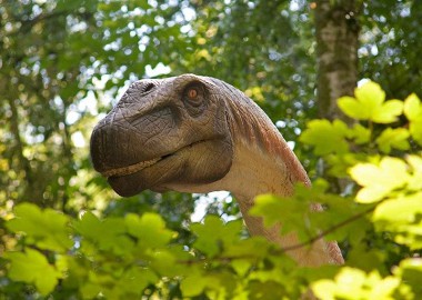 DinoPark Malbork Park Ruchomych Dinozaurów Smoków - atrakcje dla dzieci i dorosłych