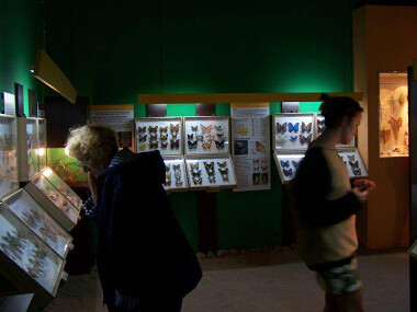 Muzeum Motyli we Władysławowie - atrakcje nad morzem