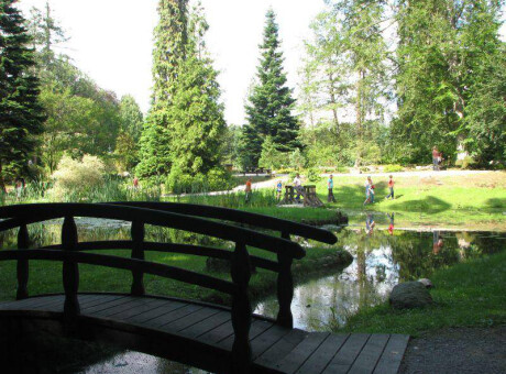 Arboretum Wirty park leśny - Nadleśnictwo Kaliska