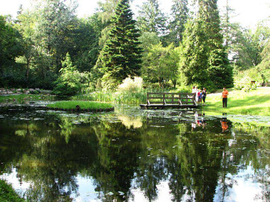 Arboretum Wirty park leśny Kociewie Nadleśnictwo Kaliska