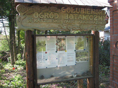 Ogród Botaniczny Gołubie - ciekawe miejsce na Kaszubach