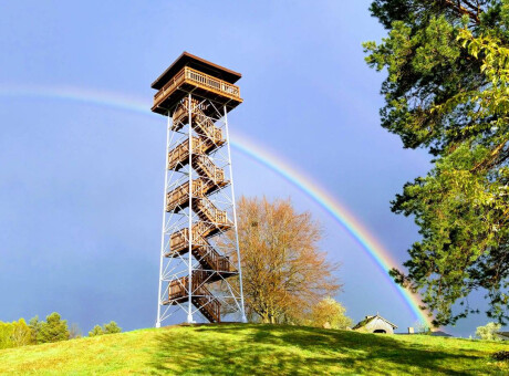 Wieża widokowa Góra Lemana Wioska Gotów Piaszno
