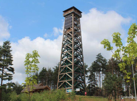 Wieża widokowa Przytarnia Wiele