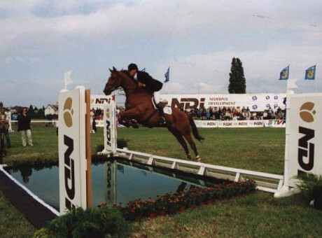 Hipodrom Sopot - tor wyścigów konnych
