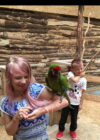 Papugarnia Aquapark Reda papugi atrakcje dla dzieci