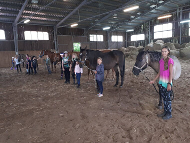 Ośrodek jeździecki Stajnia Pomerania - nauka jazdy konnej w ujeżdżalni