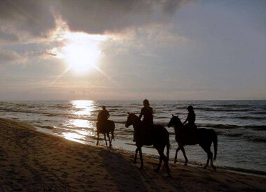 Stajnia Maciukiewicz - romantyczne konie nad morzem