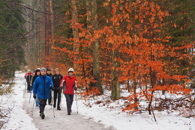 Nordic Walking na Kaszubach - fot. CZAPIELSKI MŁYN