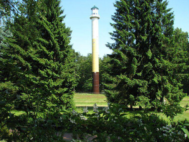 Wieża widokowa w Orzechowie zarządzana przez Lasy Państwowe
