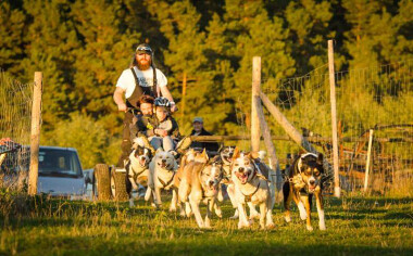 Kaszubska Alaska zaprasza na przejazdy psimi zaprzęgami!