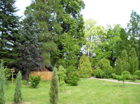 Arboretum pomorskie - Wirty, Kozin, Marszewo