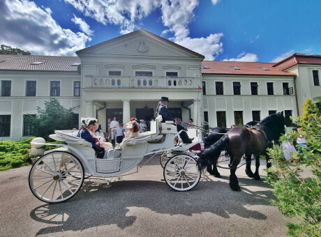 Pałac Grąbkowo - hotel, restauracja - sala balowa, sala weselna, sala bankietowa - 7 sal - imprezy do 300 osób
