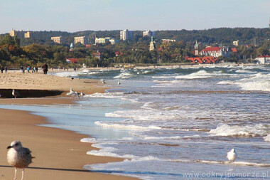 Podczas spaceru brzegiem morza w Sopocie można minąć kogoś znanego ...
