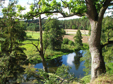 Rzeka Wda - rezerwat Krzywe Koło na półwyspie opływanym przez Wdę oferuje piękny krajobraz ....