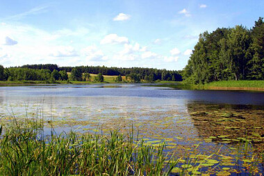 Atrakcje przyrody - jezioro Czarne  - fot. Agroturystyka Nad Stawem - Wycinki - tel. 58 582-93-25