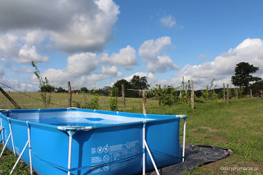 Agroturystyka Ranczo Malary tanie noclegi - rozkładany basen dla gości