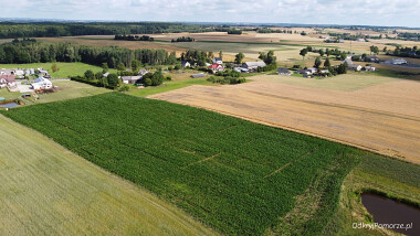 Labirynt w polu kukurydzy - Agroturystyka Ranczo Malary - w okolicy Skarszew