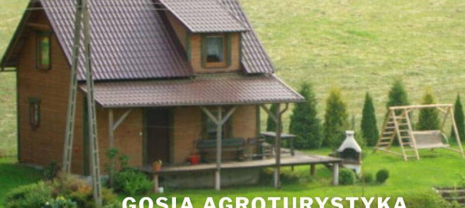 Agroturystyka Gosia - całoroczne domki 🏠🏠 do wynajęcia na Kaszubach + sauna