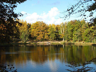 Jezioro Otomińskie ma swój urok, szczególnie poza sezonem lub o poranku.  Jest przyjemnym miejscem na spacer z Odminą...