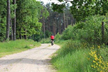 Czarna Dąbrówka zaprasza na wycieczki rowerowe, na wczasy, wakacje i weekendy