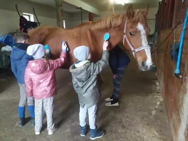 Wczasy w siodle wakacje z końmi dla dzieci Agroturystyka Orlinek SPA Orle