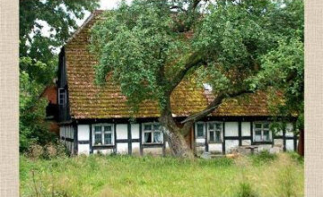 Szparagowe Święto - Swołowo 2025
