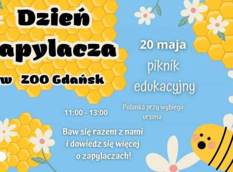Dzień Zapylacza w Zoo Gdańsk