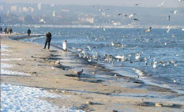 Ferie zimowe ❄️ 2025 nad morzem, na Kaszubach