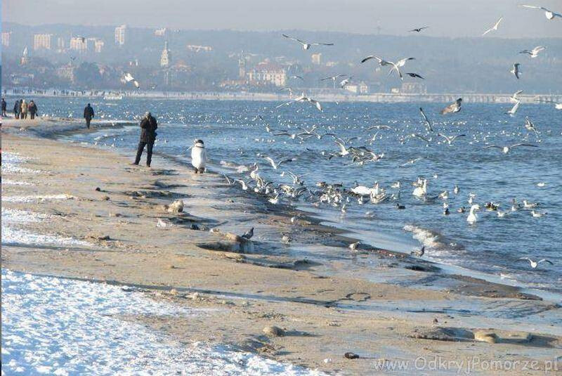 Ferie zimowe ️ nad morzem Kaszuby Trójmiasto pomorskie 2025