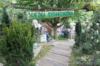 Dary Ziemi  w Gdyni Kolibkach - zielone zakątki do odpoczynku i degustacji