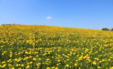 Wiosna nad morzem 🌼 wiosna na Kaszubach 2026