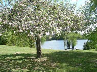 Choszczogród - wiosna na Kaszubach - fot. Choszczogród