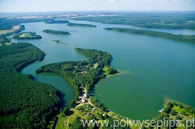 Wakacje 2024 na Kaszubach ⛱ nad jeziorem Wdzydze - zapraszamy na Półwysep Lipa!