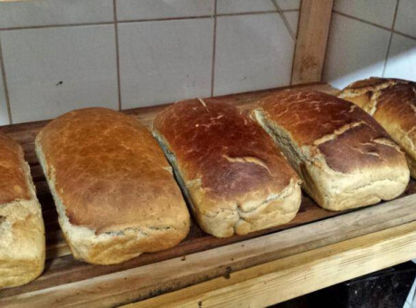 Pieczenie chleba - pokazy, warsztaty, własnoręczny wypiek