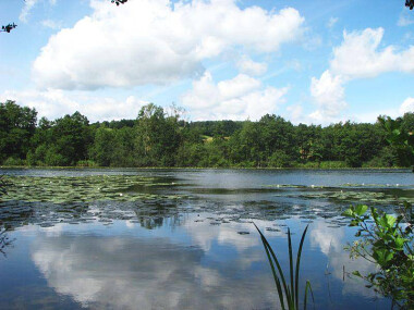 Pensjonacik Marzenie Klonowo Dolne tanie wakacje Kaszuby las jezioro (15)