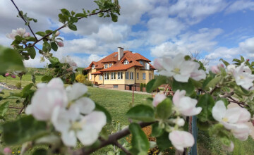 Agroturystyka Pod Ptasią Górą - noclegi na Kaszubach z wyżywieniem