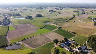 Agroturystyka Pod Lipą - Kożyczkowo  - na horyzoncie rozległe lasy