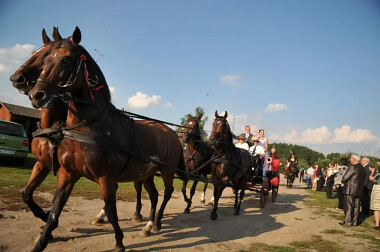 Maciejówka Opalenie (15)