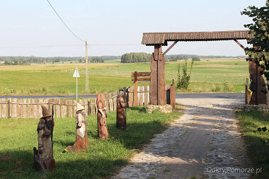 Stara Baśń - Wilcze Błota Kościerskie  (49)