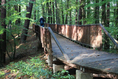 Leśny Ogród Botaniczny Gdynia Marszewo