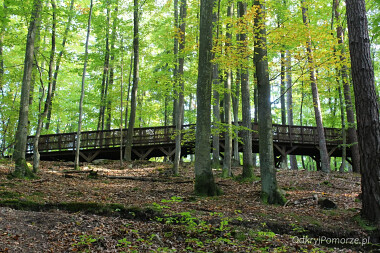 Leśny Ogród  Botaniczny Gdynia Marszewo