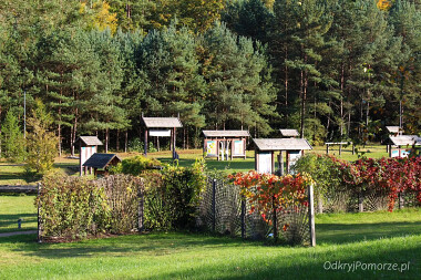 Leśny Ogród  Botaniczny Gdynia Marszewo - kolekcje roślinne i tablice informacyjne