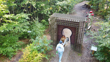 Szlak Alicji w Zaczarowanym Lesie - wejście - Leśny Ogród  Botaniczny Gdynia Marszewo