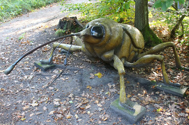 Szlak Alicji  - owady olbrzymy - Leśny Ogród  Botaniczny Gdynia Marszewo