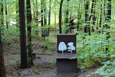 Na Szlaku Alicji - Leśny Ogród  Botaniczny Gdynia Marszewo