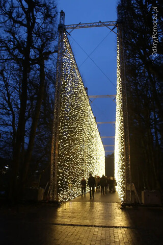 Iluminacje Gdańsk Oliwa - wielkie kurtyny świetlne